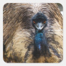Search for watcher photography Wildlife