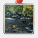 Search for new hampshire christmas tree decorations Forest