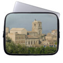Search for sicily electronics Walter bibikow