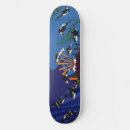 Search for orca skateboards Nature