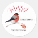 Search for bullfinch stickers Merry christmas