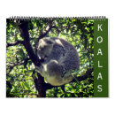 Search for koala calendars Wildlife