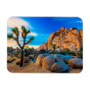 Search for joshua tree national rectangular magnets Sunrise