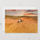 Search for arid cards Cactus