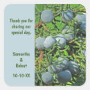 Search for winter square wedding stickers Pine tree