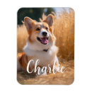 Search for pet photo magnets In loving memory