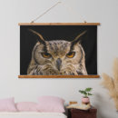 Search for eagle feathers posters Owl