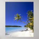 Search for cook cooking posters White