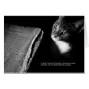 Search for van photography Cat