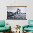 Search for desert tree Travel