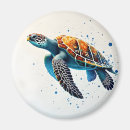 Search for turtled magnets Baby