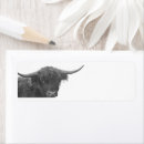 Search for black white cow return address labels Western