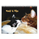 Search for bengal cat calendars Cute