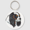 Search for cavalier king charles key rings Blenheim