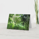 Search for rainforest cards Hawaii
