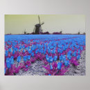 Search for windmills posters Flowers