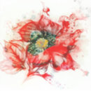 Search for watercolor graphic stickers Floral