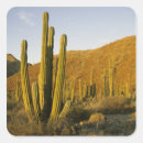 Search for baja mexico stickers Landscape