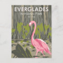 Search for vintage flamingo postcards Wildlife