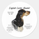 Search for cocker stickers English cocker spaniel