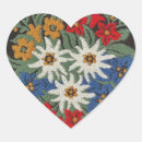 Search for edelweiss stickers Alpine