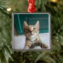 Search for domesticated christmas tree decorations Feline