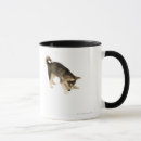 Search for husky puppy mugs Animal