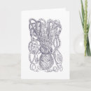 Search for octopus cards Animal