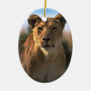 Search for lion king christmas tree decorations Big cats