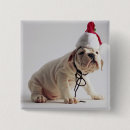 Search for top hat badges Animal