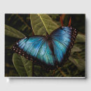 Search for butterfly guest books Wildlife