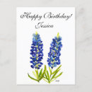Search for the state flower cards Bluebonnets