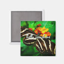 Search for sunshine magnets Trendy