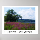 Search for patch art Nature