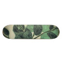 Search for cream skateboards Botanical