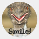 Search for emu stickers Funny