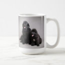 Search for newfoundland dog mugs Puppy