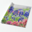 Search for texas bluebonnets wrapping paper Lupine