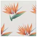Search for exotic fabric Bird of paradise