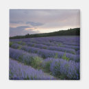 Search for cropland magnets Agricultural field