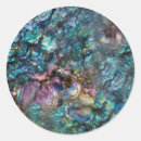 Search for sea shells stickers Mermaid