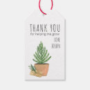 Search for fir tree Rustic