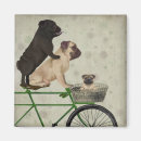 Search for bicycle magnets Dogs on bicycles