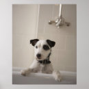 Search for terrier art Black