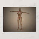 Search for fertility postcards Human