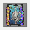 Search for possum magnets Cute
