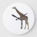 Search for giraffe clocks Wildlife