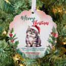 Search for cute kitten christmas cards Kitty