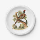 Search for pheasant plates Hunting