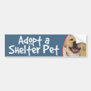 Search for yellow lab bumper stickers Dog